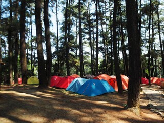 Aerial view of camping ground and tent at outdoor with blurred background. Holiday, staycation, traveling, refreshing, recreation and stay at nature concept design.