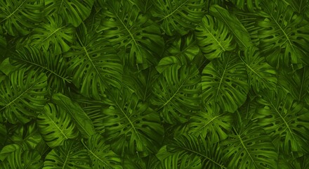 Fototapeta premium ropical leaf pattern background