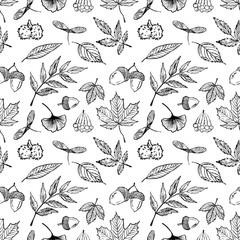 Hand drawn seamless pattern with autumn leaf symbols in black brush stroke texture on white. Vector sketch illustration in vintage charcoal ink. Chestnut, ginkgo