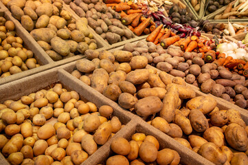Lots of raw potatoes lying in a tray on the display case of a vegetable shop. Natural not perfect many potatoes. Close-up