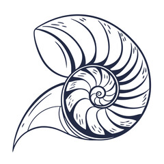 Obraz premium Elegant hand-drawn nautilus shell sketch showcasing its spiral geometry