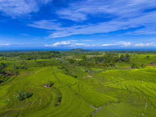Obraz premium Beautiful morning view indonesia, Panorama Landscape paddy fields with beauty color and sky natural light 