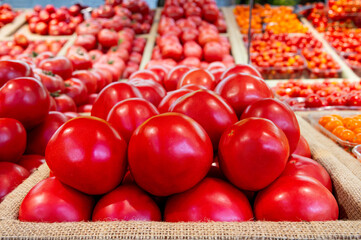 Red tomatoes are lying in transparent trays on the shop counter. Tomato theme background