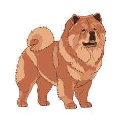 Chow Chow head full body, cartoon vector digital art, isolated on white transparent background