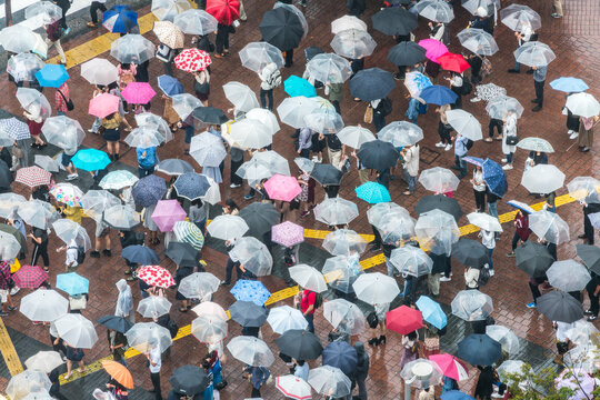 People at Shibuya Crossing in Tokyo, Japan