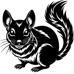 Chinchilla black design on white background illustration