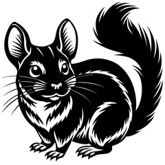 Obraz premium Chinchilla silhouette design on white background