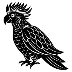 Fototapeta premium Stylized black cockatoo bird design on white background