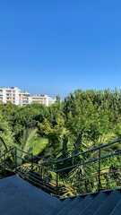 Urban oasis with lush greenery unfolds under cerulean skies, summertime serenity meets architectural rhythm, arbor day whispers