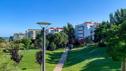 Sunlit urban park with a tranquil path, ideal for Arbor Day, nestled between lush greenery and azure coastal skyline