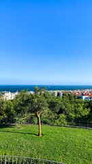Coastal sanctuary of azure whispers, where verdant foliage cradles Mediterranean charm, perfect for Arbor Day reverie and Seaside Solstice