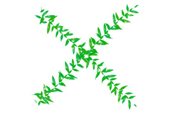 Green leaves forming an X-shaped pattern on white background