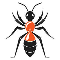 ant on a white