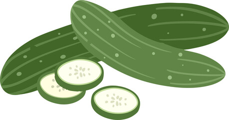 Organic cucumber hand drawn illustration