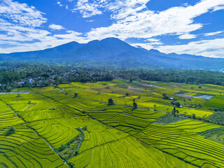 Obraz premium Beautiful morning view indonesia, Panorama Landscape paddy fields with beauty color and sky natural light 