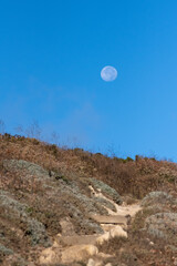 Distant moon serving as a guiding beacon along the path leading to the Potato Harbor Overlook Trail on Santa Cruz Island