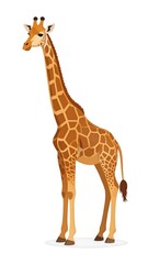 A full view of a giraffe against a plain white background, showcasing its distinctive spotted pattern and long neck.