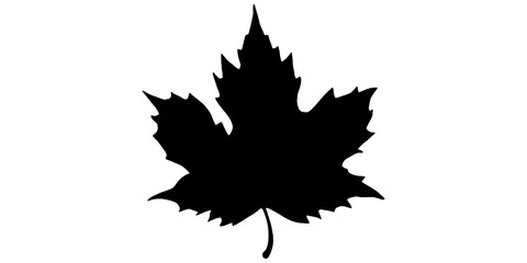 Autumn maple leaf isolated on transparent background. Design elements PNG
