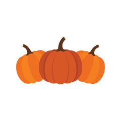 Three orange pumpkins festive autumn harvest fall season graphic design elements vector
