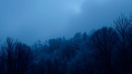 Misty Forest in Deep Blue