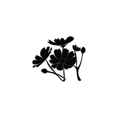 Silhouette with flower