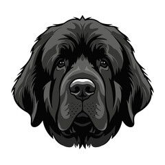 newfoundland head full body, cartoon vector digital art illustration, isolated on white transparent background