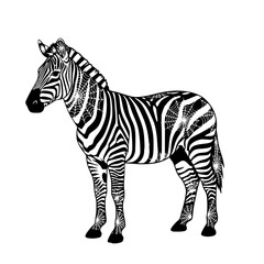 Obraz premium A stunning digital illustration of a zebra showcasing striking black and white stripes with a touch of artistic flair. The zebra stands majestically, its unique pattern capturing the eye.