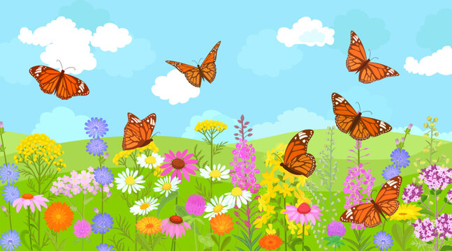 rural summer panoramic landscape of field blooming medicinal herbs flowers with flying butterflies