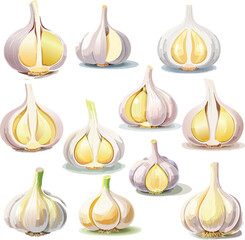 A clean and modern vector illustration set of fresh garlic bulbs. This versatile collection of icons is perfect for recipes, food packaging, menus, and culinary graphics.