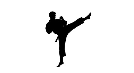 Obraz premium Karate fighter performing a high side kick silhouette isolated on white background