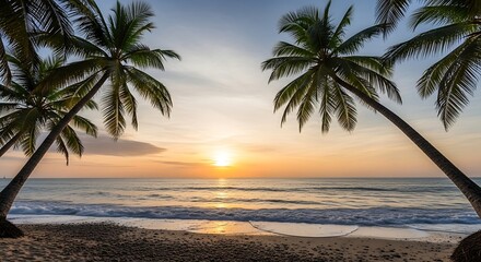 Tropical Beach at Sunset Palm Trees Ocean