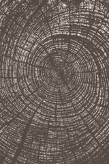 Close-up circular tree rings texture, highly detailed wood growth pattern creating natural rustic background illustration.