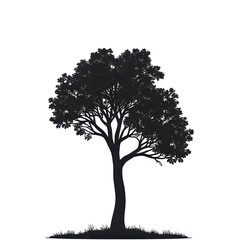 silhouette of a tree