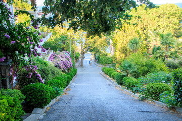 walking on the silent island street between trees and flowers in istanbul
