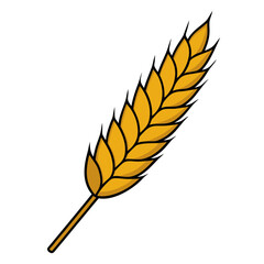Vector illustration of a golden wheat stalk on a white background
