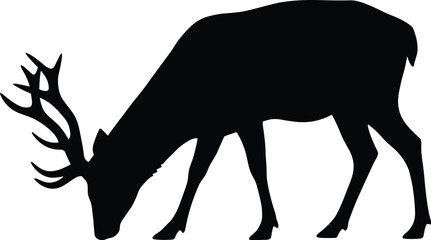 Minimal vector silhouette, stag grazing head down, antlers forward, side view, solid black