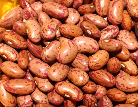 Close-up of many pinto beans