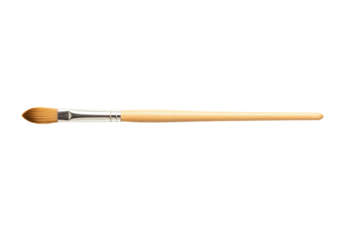 Paintbrush with wooden handle and pointed bristles on transparent background