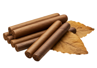 Premium cigars with tobacco leaves on transparent background