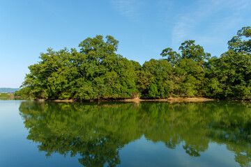 湖面に映る夏の新緑の森と青空の風景