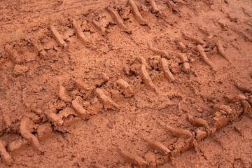 Dirt or muddy terrain ground with vehicle wheel track. Background and textured photo.
