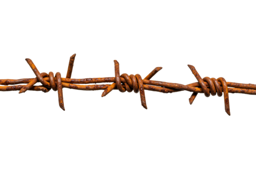 Rusty barbed wire on transparent background