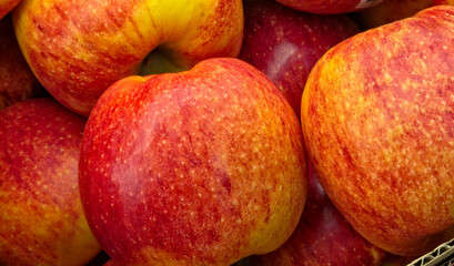 Close-up shot of a group of fresh Gala apples.