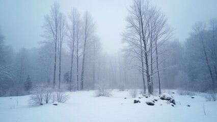 A snow covered field with bare trees in the background.