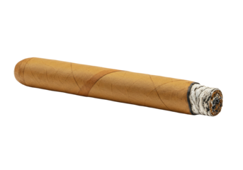 Smoked cigar on transparent background studio shot