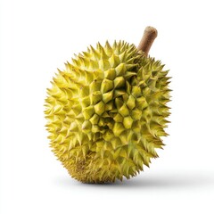 Single durian fruit, light-yellow, spiky shell, isolated