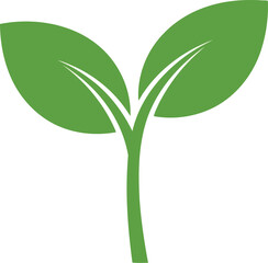 Green sprout symbolizing new life growth and nature vector