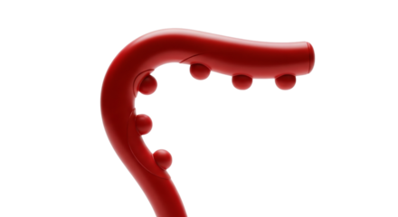 Red massage tool with knobs isolated on transparent background