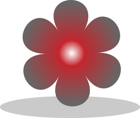 red flower on white background