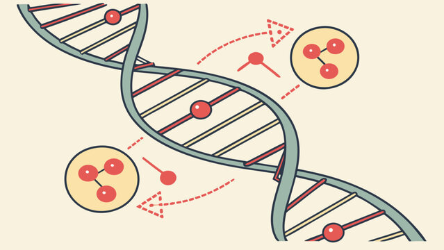 DNA Replication Process Illustrated with Molecules